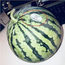 网红吃瓜推特,揭秘娱乐圈幕后真相，带你领略网络红人的真实生活！”  第2张